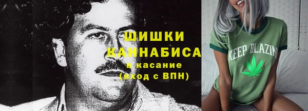 дмт Кукмор