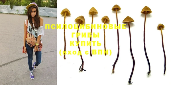 эйфоретик Куйбышев