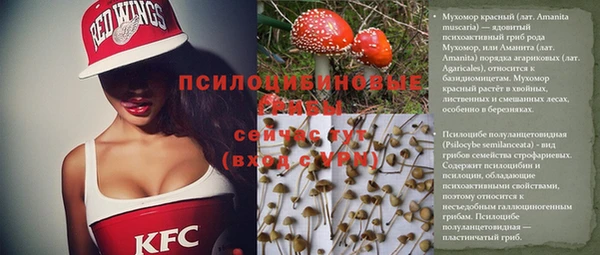 дмт Кукмор