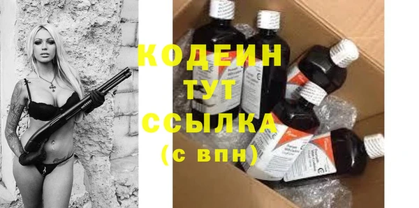 крисы Мегион