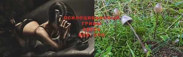 марки nbome Кулебаки