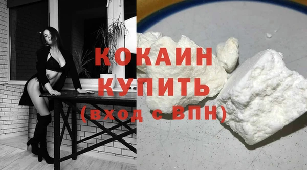 прущие грибы Красноперекопск