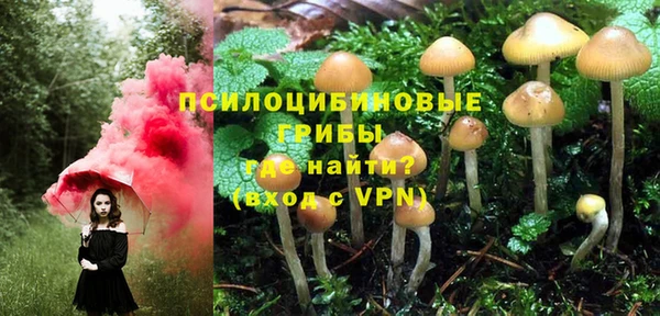 мет Лагань